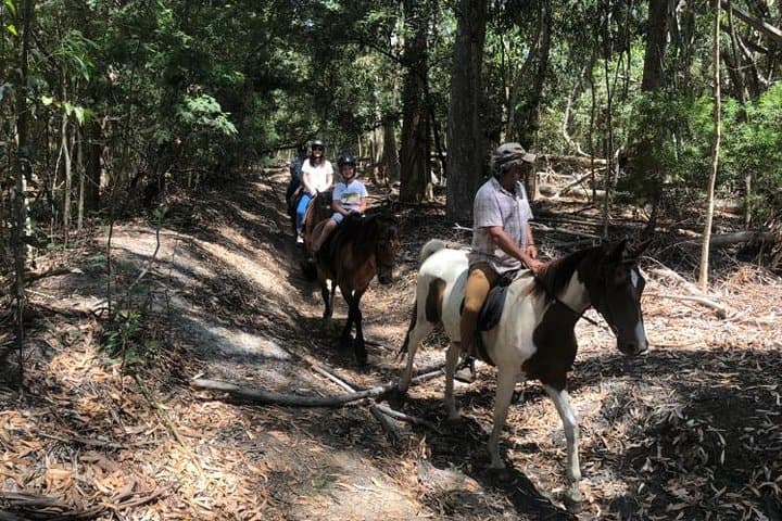 Stanford Mountain Ride: 2-Hour Horseback Trail through the Cape Floral Kingdom photo 5