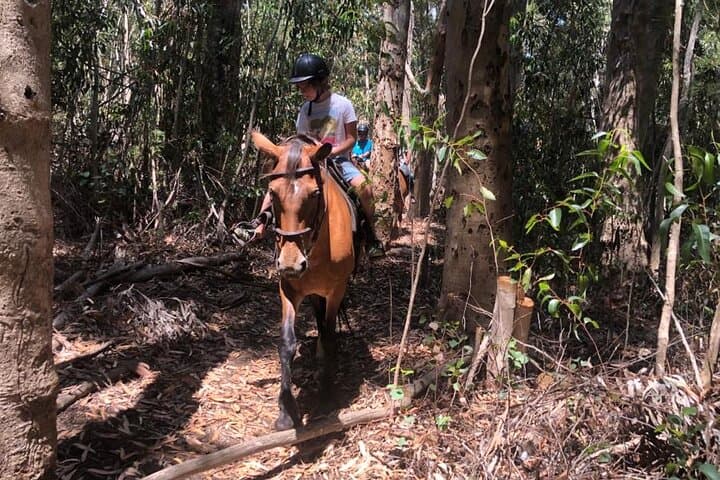 Stanford Mountain Ride — 1-Hour Horseback Trail Through Stanford Hills photo 3