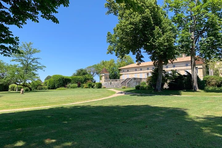 Saint-Émilion Wine Day Trip by Electric Luxury Van: Small-Group Château Tours & Tastings photo 6