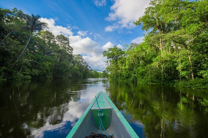 5-Day Cuyabeno Wildlife Reserve Adventure: Amazon Lodge & Canoe Safari photo 3