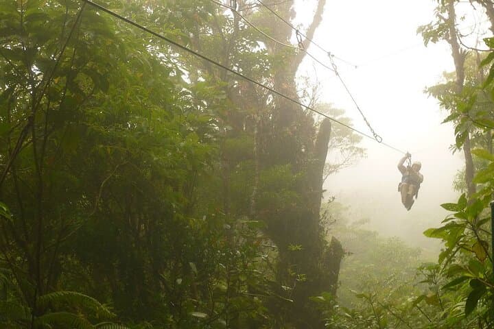 Monteverde Cloud Forest Zipline and Hanging Bridges: Canopy Adventure Tour photo 4
