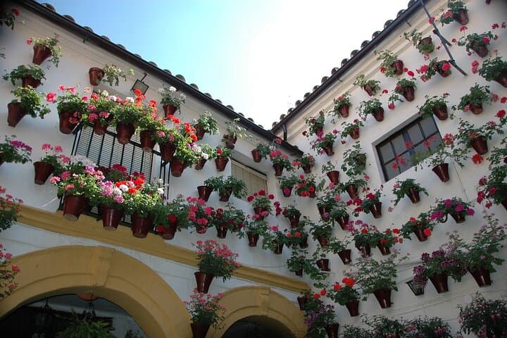 Andalusia & Mediterranean Coast: 9-Day Guided Tour from Madrid photo 6