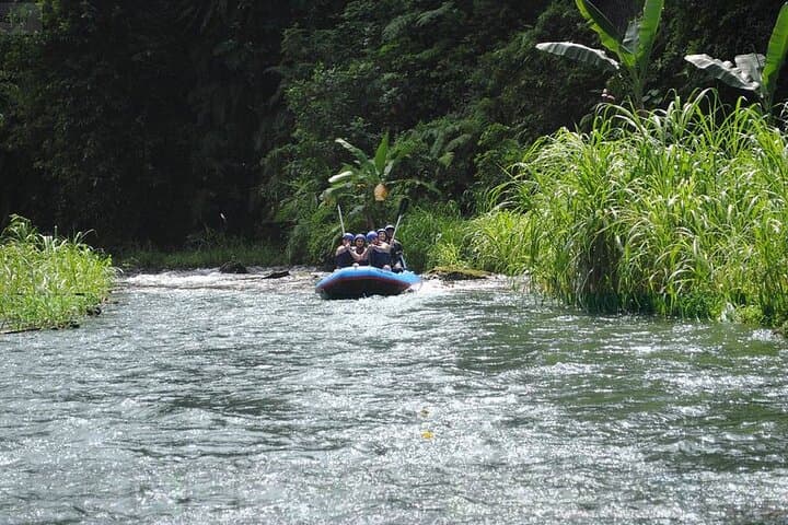 Telaga Waja White Water Rafting — 18km Bali River Adventure photo 4