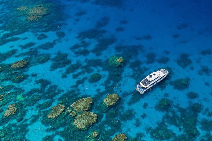 Silverswift Great Barrier Reef Dive & Snorkel Cruise from Cairns photo 2