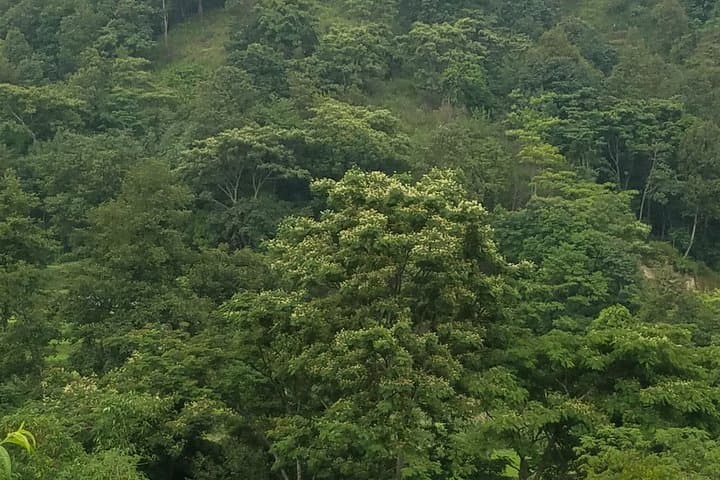 Paanchmane Hill Day Hike: Kathmandu Valley Views & Village Walk photo 6
