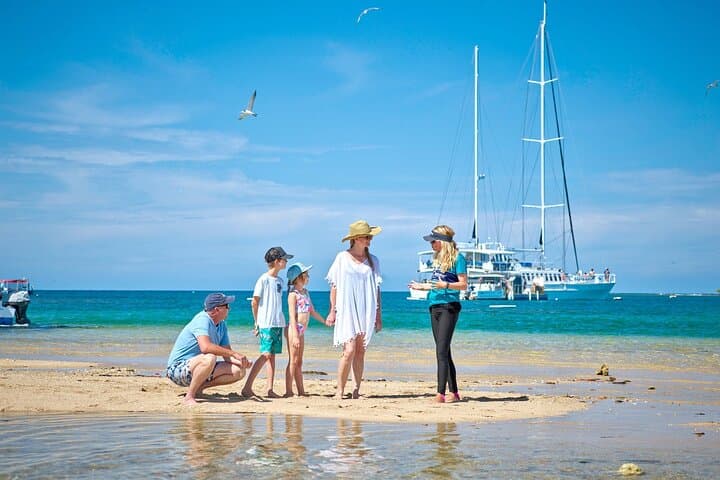 Sail to Low Isles — Wavedancer Great Barrier Reef Cruise from Cairns photo 6