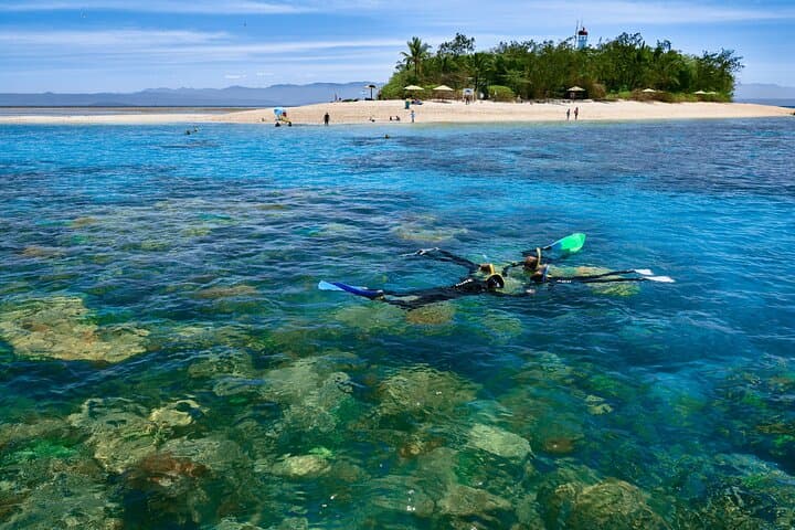 Sail to Low Isles — Wavedancer Great Barrier Reef Cruise from Cairns photo 3