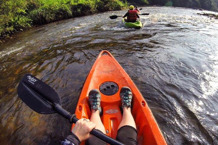 Flat-Water Kayaking on the Kelani River: Day Paddle from Kitulgala photo 3