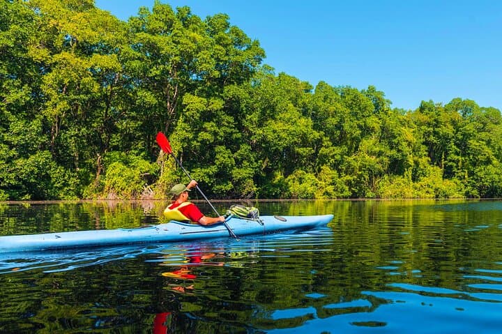 Flat-Water Kayaking on the Kelani River: Day Paddle from Kitulgala photo 4