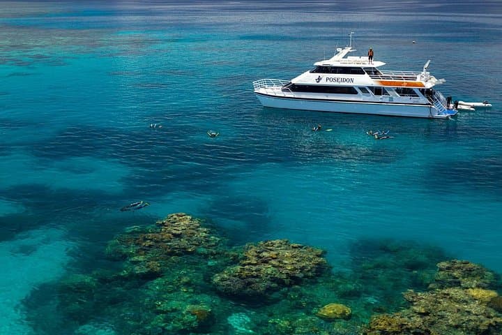 Agincourt Reef Day Cruise: Snorkel and Dive with Poseidon from Port Douglas