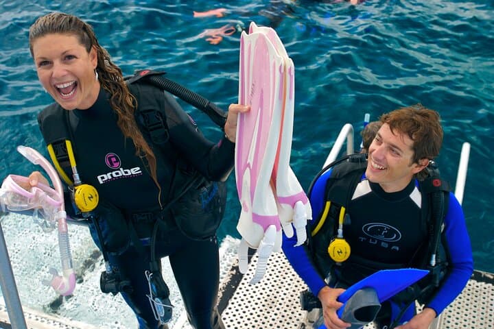 Full-Day Silversonic Outer Great Barrier Reef Cruise — Snorkel & Dive Agincourt Reef photo 4