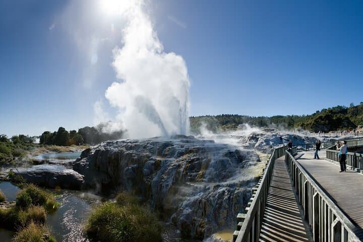 Auckland to Rotorua Private Day Tour: Te Puia Geothermal Valley & Māori Haka