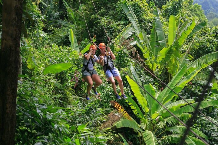 Soar Over Koh Samui’s Rainforest on a Zipline Adventure with Waterfall Views
