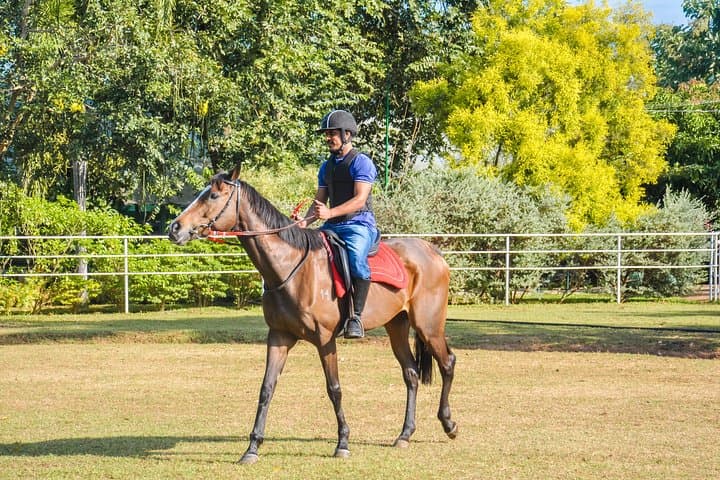 Horse Riding in Dambulla: Professional Rides at Sri Lanka's Largest Equestrian Centre photo 2