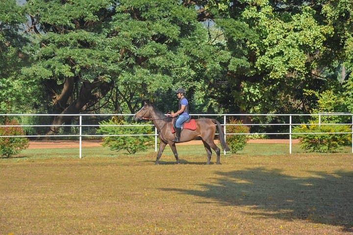 Horse Riding in Dambulla: Professional Rides at Sri Lanka's Largest Equestrian Centre photo 4