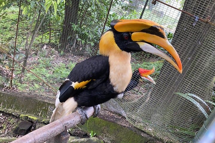 Kuala Lumpur Lake Gardens, Butterfly & Bird Park Half-Day Escape