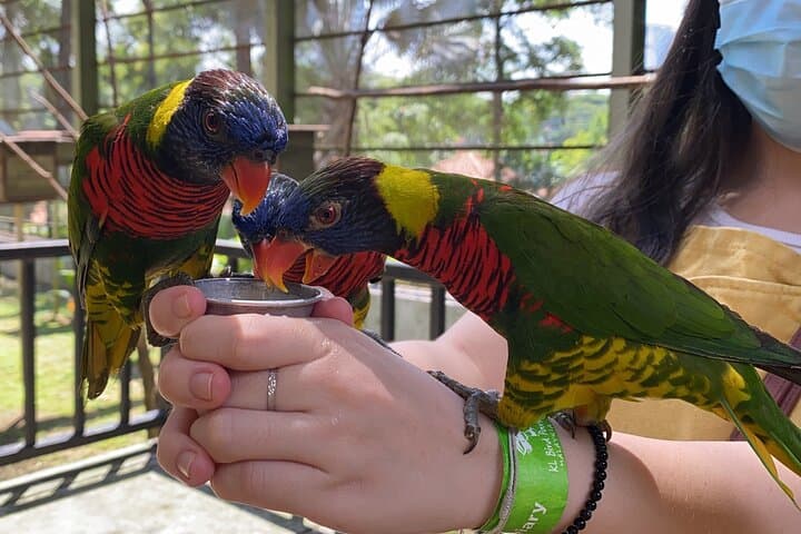 Kuala Lumpur Lake Gardens, Butterfly & Bird Park Half-Day Escape photo 2