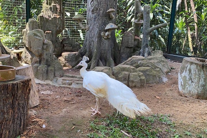 Kuala Lumpur Lake Gardens, Butterfly & Bird Park Half-Day Escape photo 3