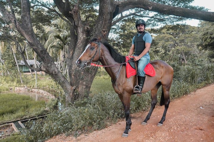 Horse Ride Experience from Dambulla: Village Trails, Cultural Views & Safe Riding photo 2