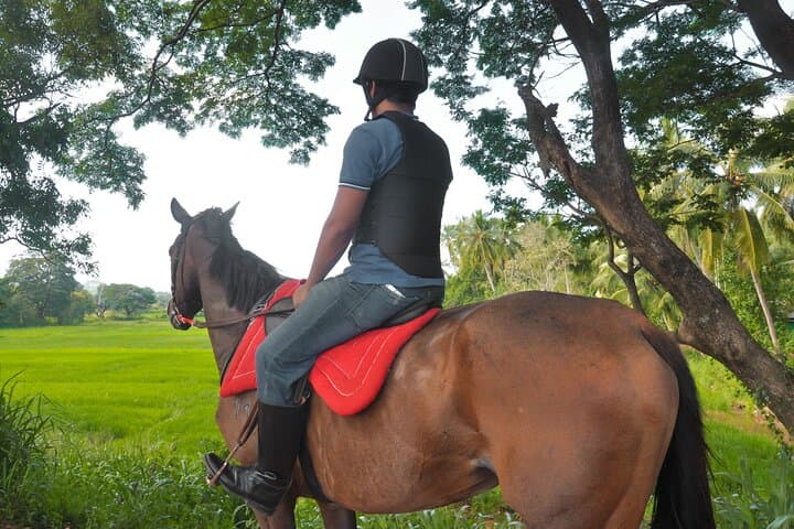 Beginner Horse Riding Near Sigiriya: ForestPark Riding Center Experience photo 3