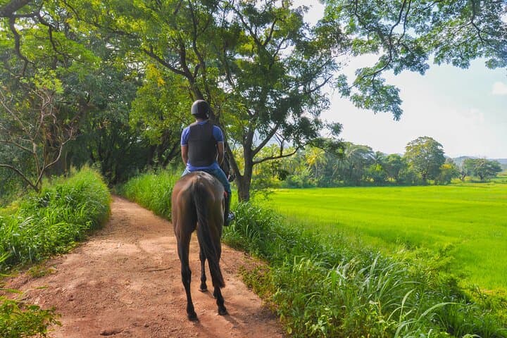 Horse Ride Experience from Dambulla: Village Trails, Cultural Views & Safe Riding photo 4