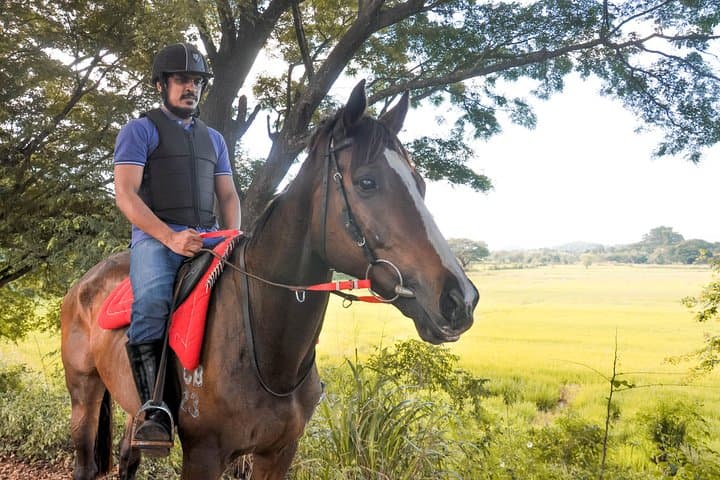 Horse Ride Experience from Dambulla: Village Trails, Cultural Views & Safe Riding