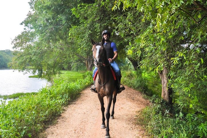 Horse Ride Experience from Dambulla: Village Trails, Cultural Views & Safe Riding photo 5