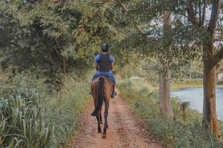 Horse Ride Experience from Dambulla: Village Trails, Cultural Views & Safe Riding photo 6