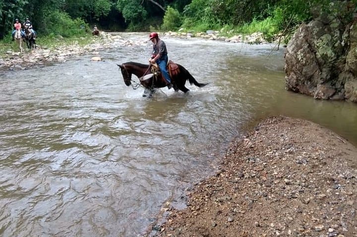 Horseback Riding and 7-Line Zipline Adventure in Puerto Vallarta’s Sierra Madre photo 5