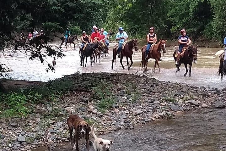 Horseback Riding and 7-Line Zipline Adventure in Puerto Vallarta’s Sierra Madre photo 3