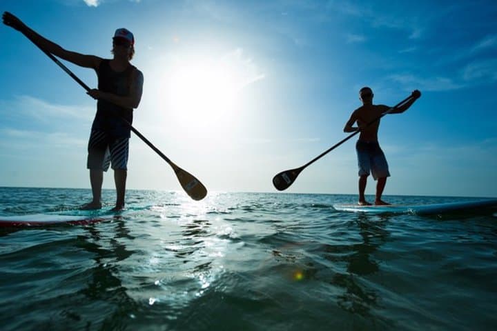 Stand-Up Paddleboarding in Marina del Rey: Harbor Views & Beginner SUP Coaching photo 2