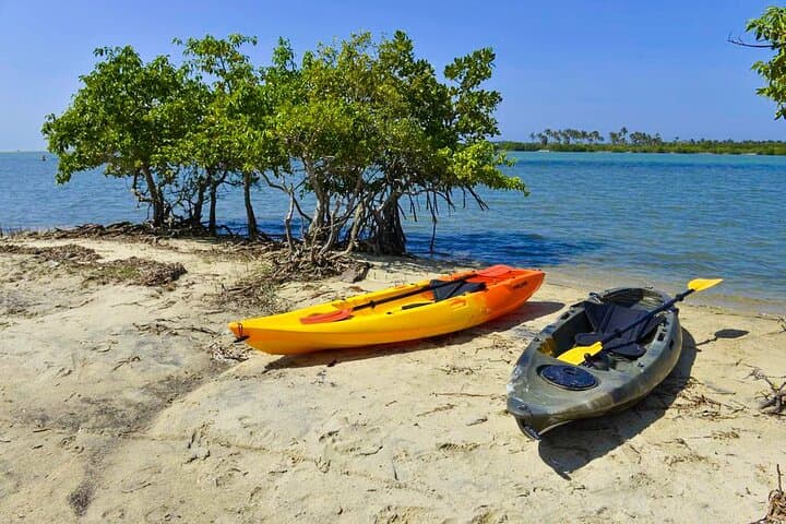 Kayaking Kalpitiya Lagoon: Paddle to Eraumativu & the Strait of Anaiwasal photo 4