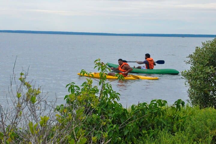Kayaking Kalpitiya Lagoon: Paddle to Eraumativu & the Strait of Anaiwasal photo 6