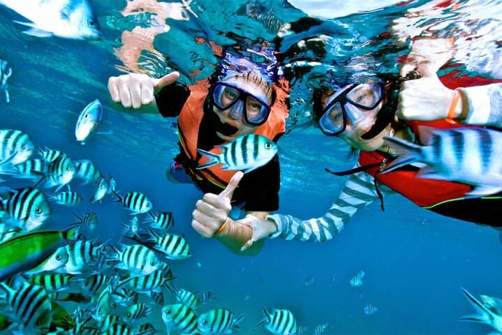 Morning Snorkel off Unawatuna: Coral Gardens and Silver Shoals in Two Hours