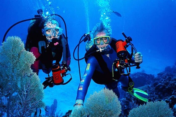 Morning Snorkel off Unawatuna: Coral Gardens and Silver Shoals in Two Hours photo 3