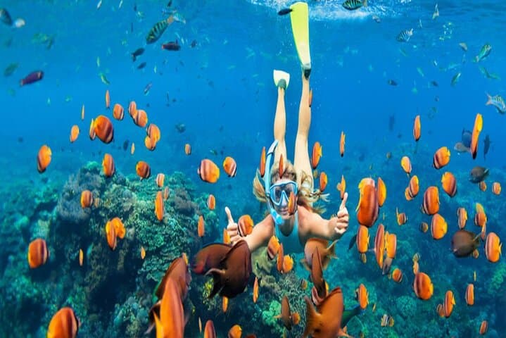 Morning Snorkel off Unawatuna: Coral Gardens and Silver Shoals in Two Hours photo 6