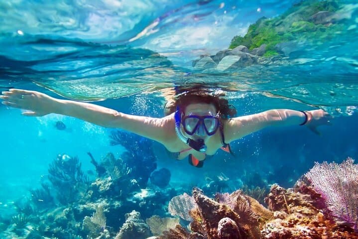 Morning Snorkel off Unawatuna: Coral Gardens and Silver Shoals in Two Hours photo 4