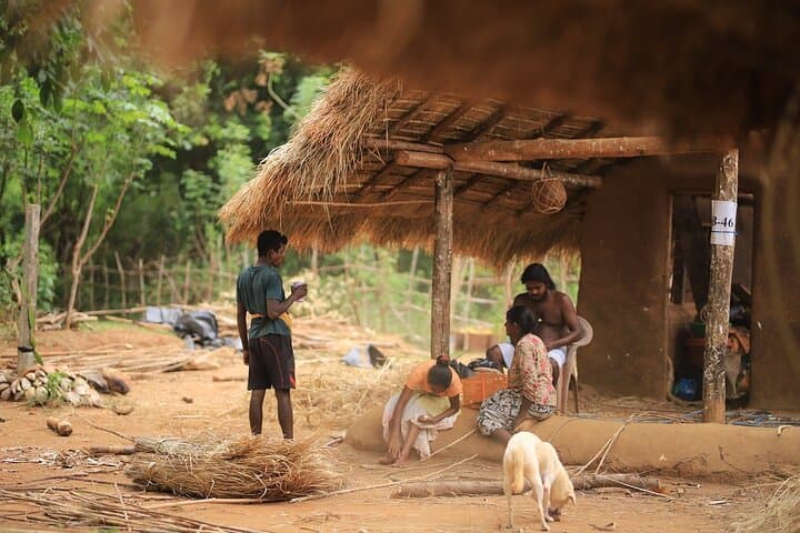 Rathna Ella Waterfall Hike & Dambana Vedda Village Experience from Kandy photo 4