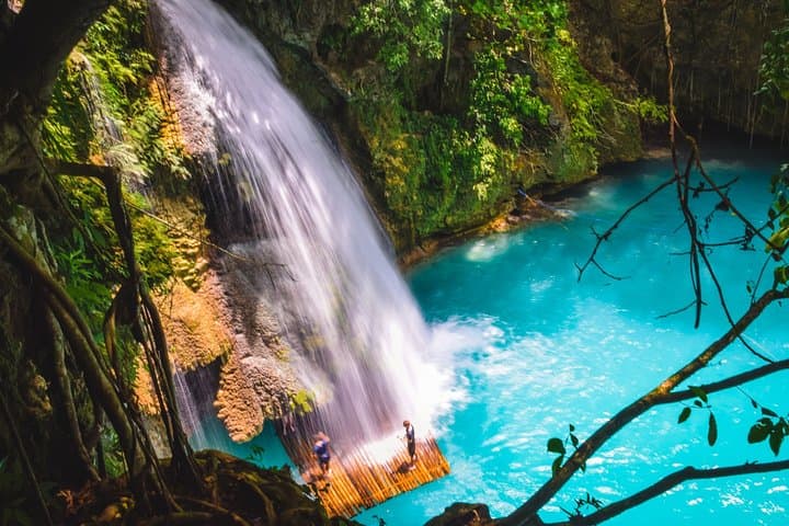 Swim with Whale Sharks and Kawasan Falls Day Tour from Cebu photo 3