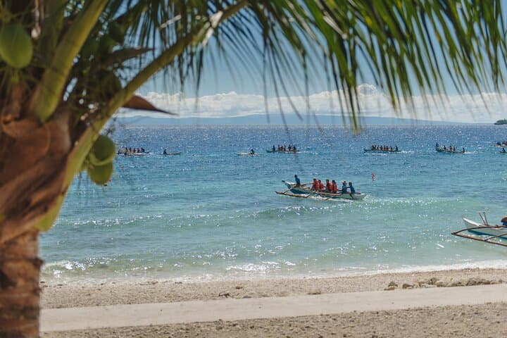 Swim with Whale Sharks and Kawasan Falls Day Tour from Cebu photo 5