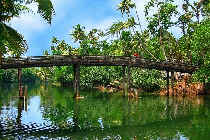 8-Day Kerala Private Tour: Kochi, Munnar, Periyar, Alleppey & Kovalam photo 6