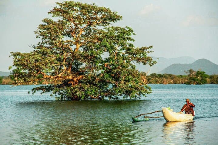 Kayaking from Kitulgala: 16km Whitewater Paddle on the Kelani River photo 6