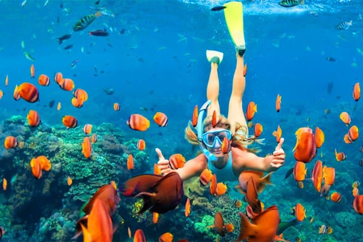 Snorkeling in Negombo: Short Boat Rides to Shallow Coral Gardens photo 1