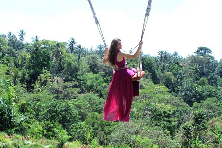 Ubud Jungle Swing & Cultural Day Tour — Rice Terraces, Monkey Forest, Temple Baths, Waterfall photo 2