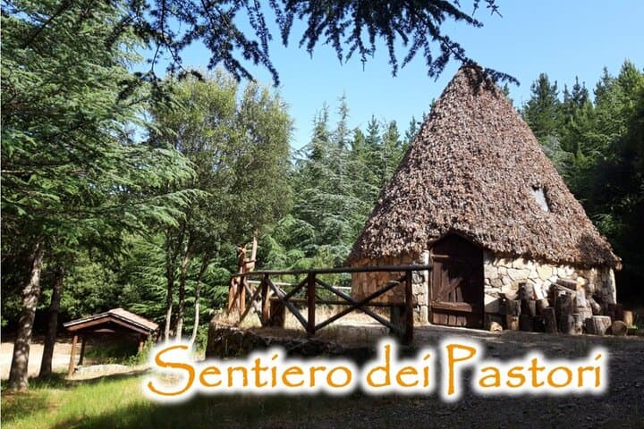 Shepherds' Tracks: 6km Forest Hike to Ogliastra Natural Springs