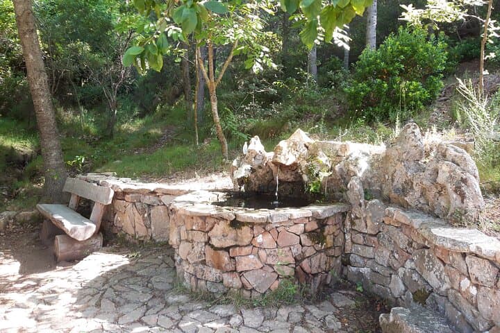 Shepherds' Tracks: 6km Forest Hike to Ogliastra Natural Springs photo 2