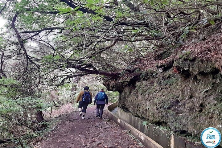 Ribeiro Frio to Portela Levada Walk — 10.7 km Guided Levada Hike in Madeira