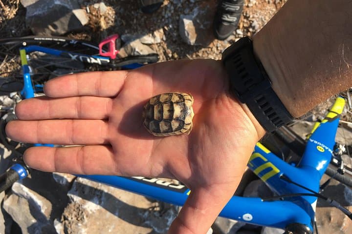 East Mani e-Bike Tour to Cape Tenaro: Ride the Edge of Continental Greece