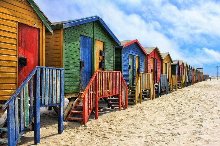 Surf Muizenberg and Cape of Good Hope: Private Full-Day Tour from Cape Town photo 5