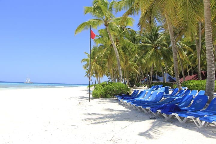 Semi-Private Saona Island Day Trip from Punta Cana — Speedboat, Beach Lunch & Open Bar photo 3